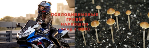 прущий лед Магас