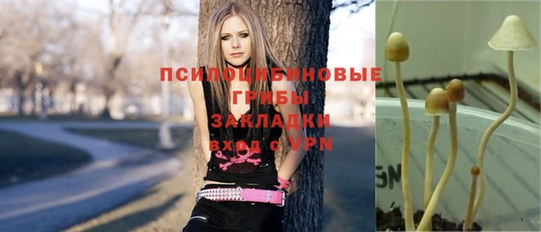 дмт Липки