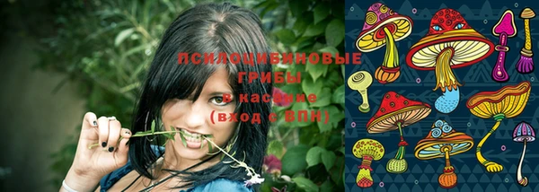 твердый Магадан