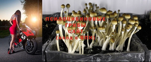 твердый Магадан