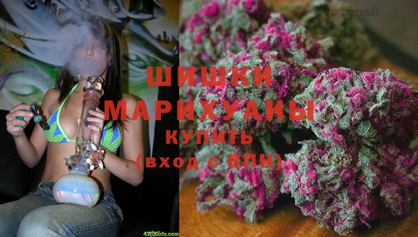 прущий лед Магас