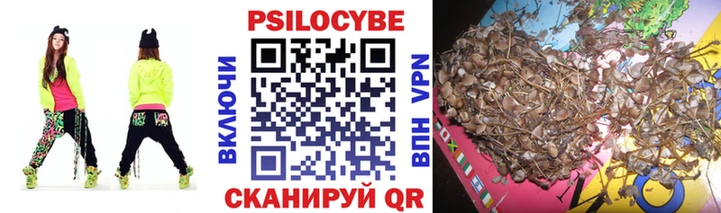 Псилоцибиновые грибы Psilocybe  Чухлома 